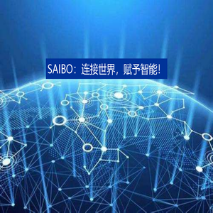 SAIBO：连接世界