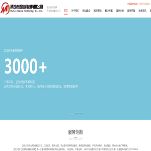 武汉网站定制/网站建设/制作